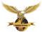 Wingzone Eagle